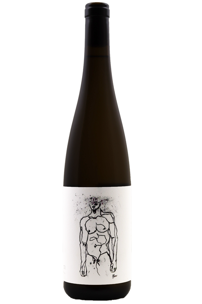 Hofstudien Grüner Veltliner - Weingut Geyerhof 2022 - BIO