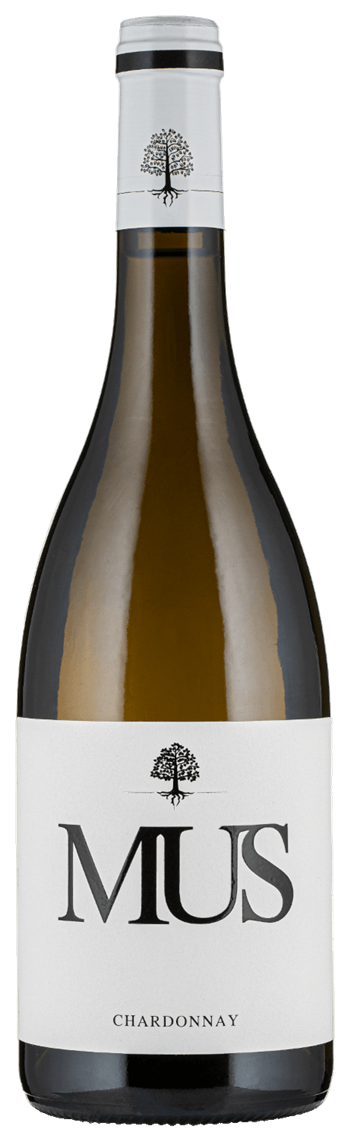 Mus Chardonnay - Château de Mus 2024