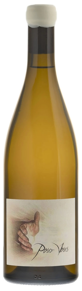 Pour Vous - Vincent Gaudry 2010