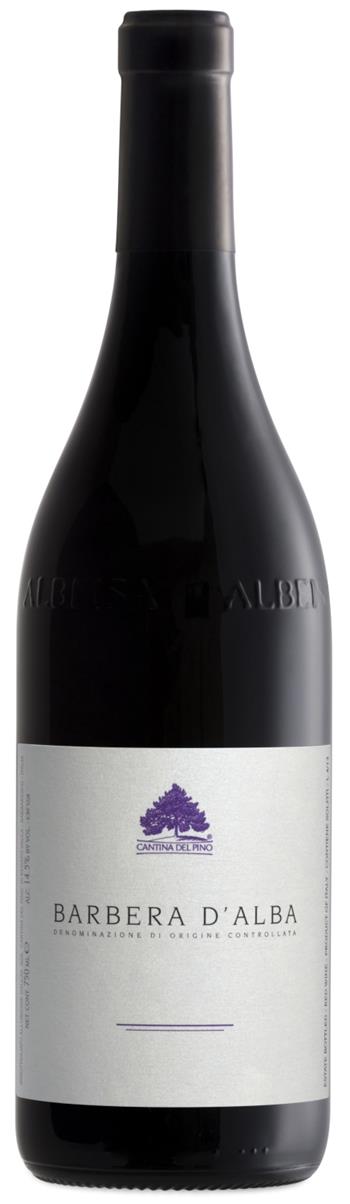 Barbera d Alba Superiore - Cantina del Pino 2022