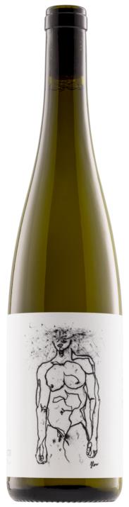Hofstudien Grüner Veltliner - Weingut Geyerhof 2024 - BIO